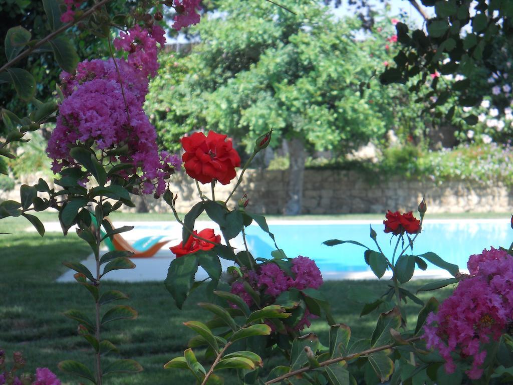 Il Giardino Dei Carrubi Villa Donnalucata  Oda fotoğraf