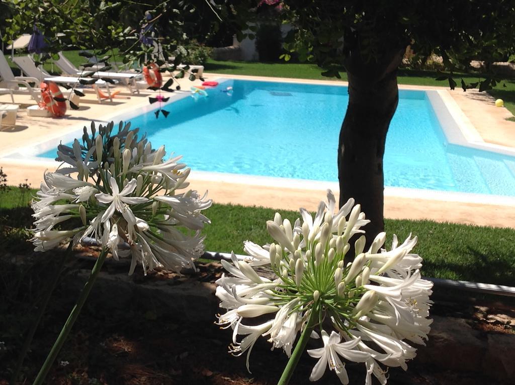 Il Giardino Dei Carrubi Villa Donnalucata  Dış mekan fotoğraf